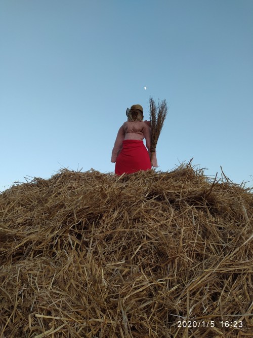 IMG_20200105_162317_rid