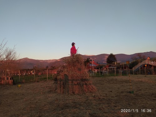 IMG_20200105_163652_rid